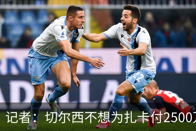 记者：切尔西不想为扎卡付2500万镑，球员已33岁且合同剩2年